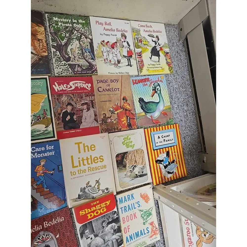 Vtg Lot SBS TX Scholastic & Others PB Books 1960s-90s VTG Variety Of Titles Rare
